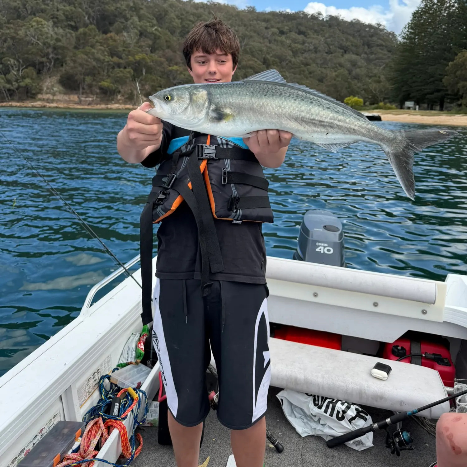 Bluefish caught on Fishbrain