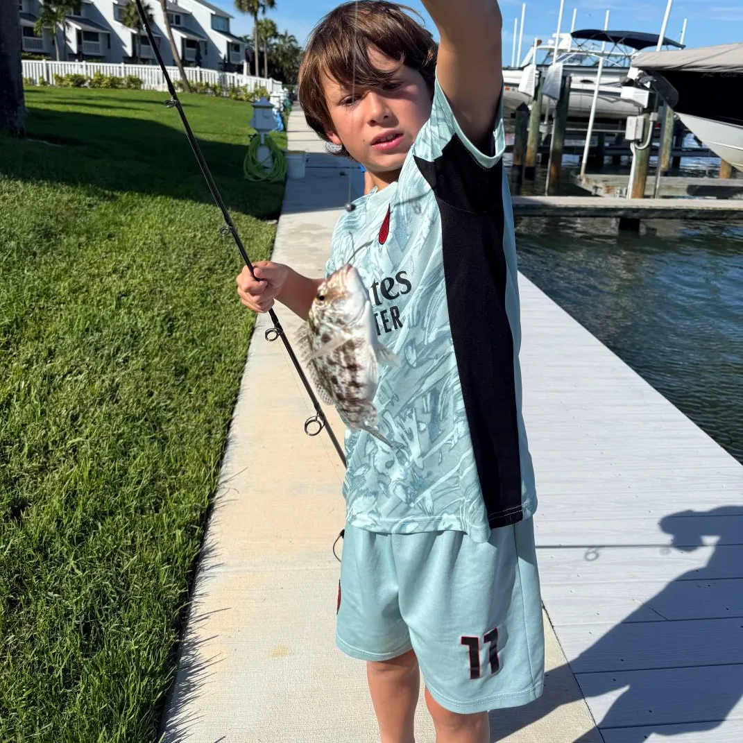 The most recent Javelin grunter catches on Fishbrain