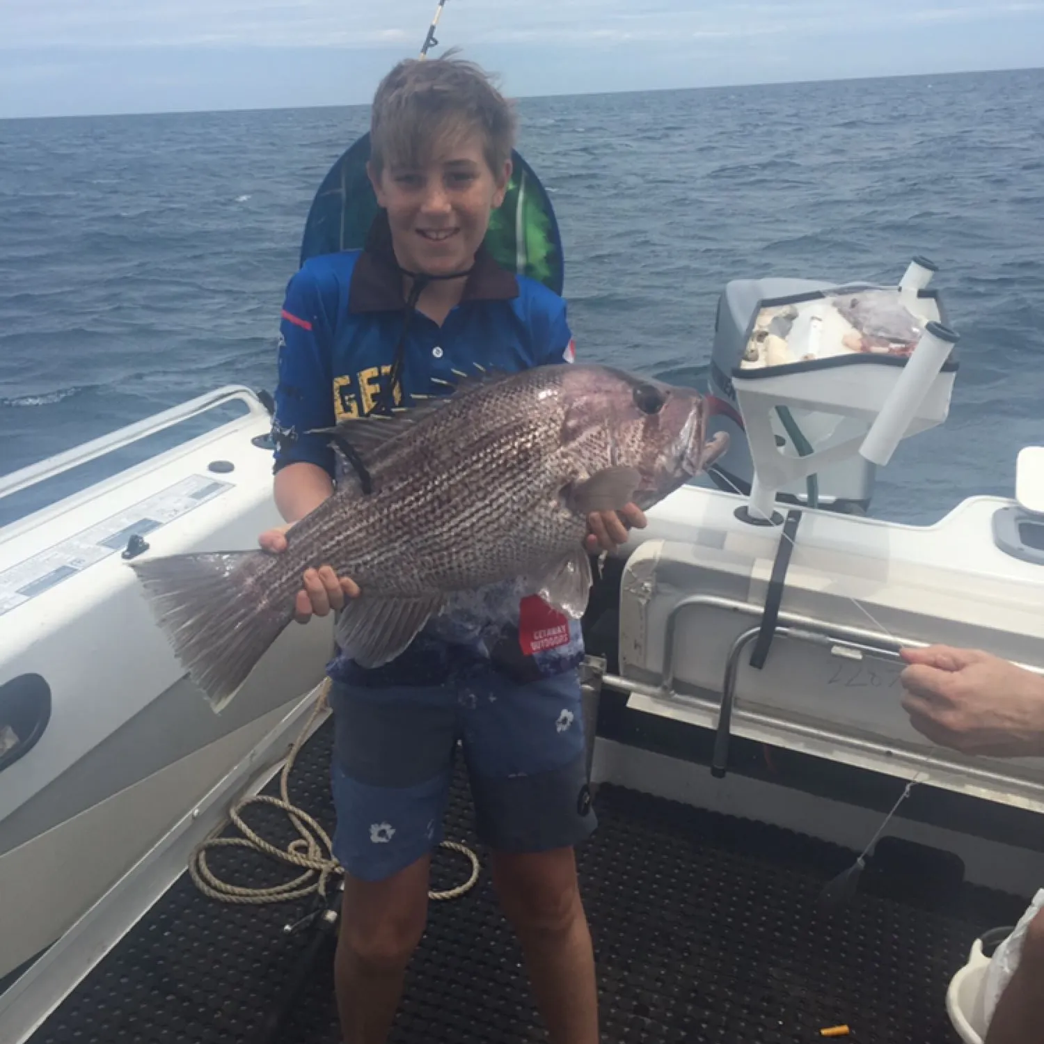 Westralian jewfish caught on Fishbrain