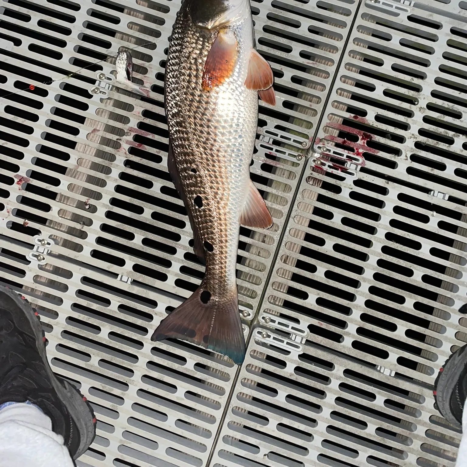 most liked catch image