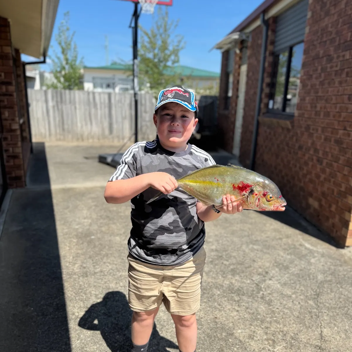 The most recent Bluefin trevally catches on Fishbrain