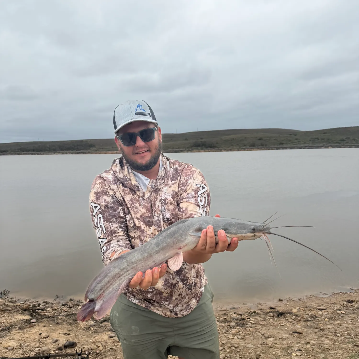 The most recent Blunt-toothed African catfish catches on Fishbrain