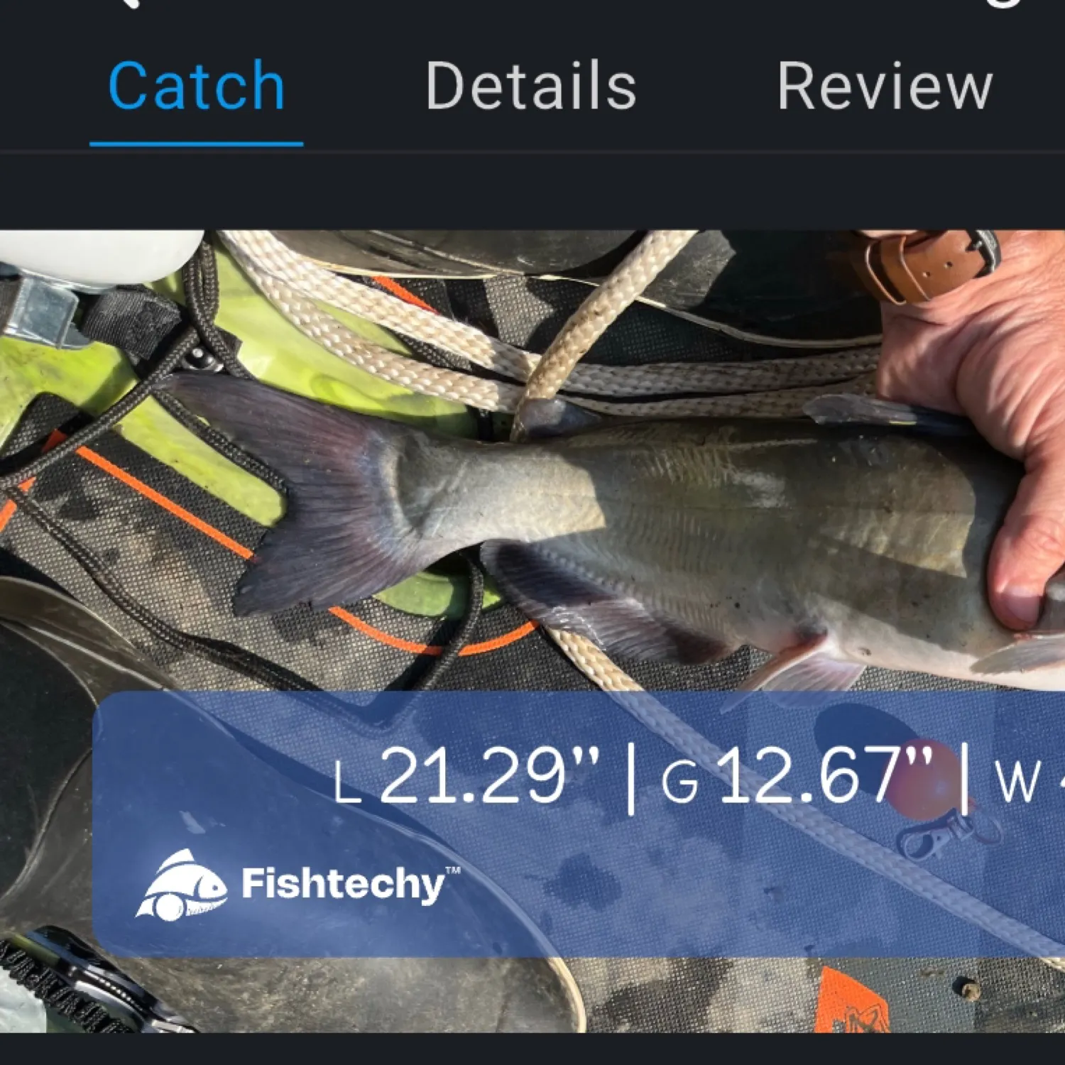 catch
