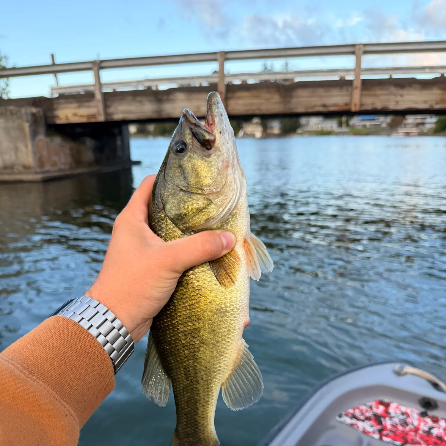 catch