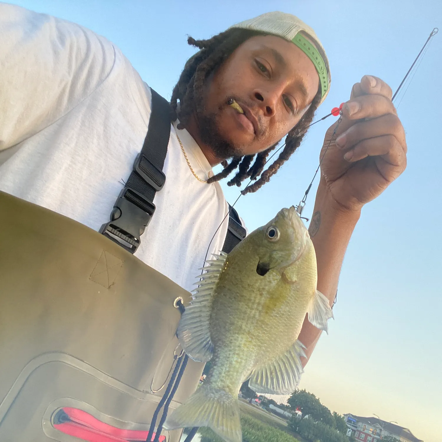 Bluegill caught on Fishbrain