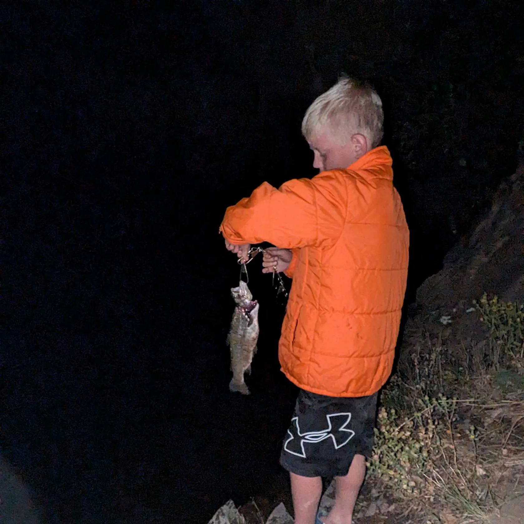 Rainbow trout caught on Fishbrain