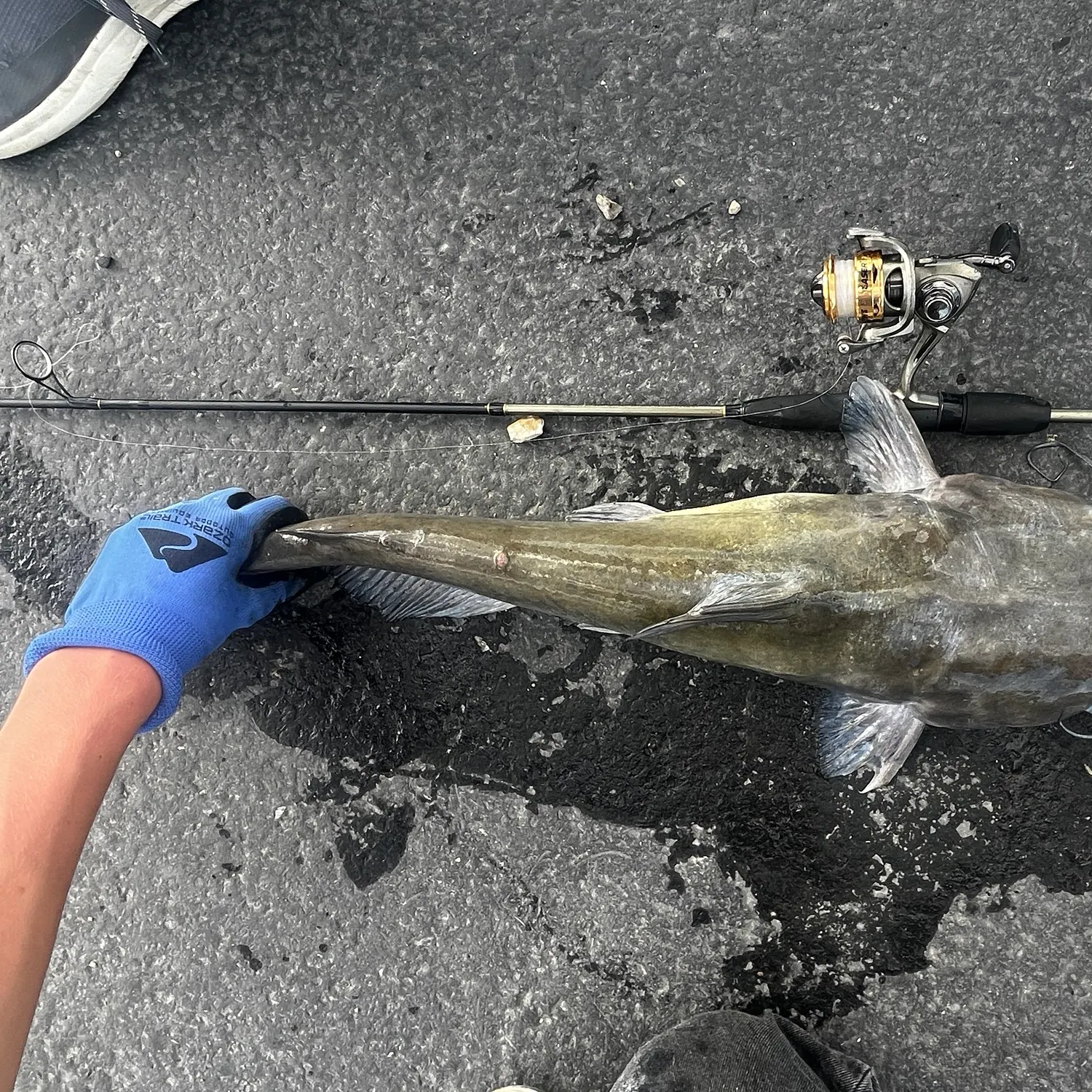 catch