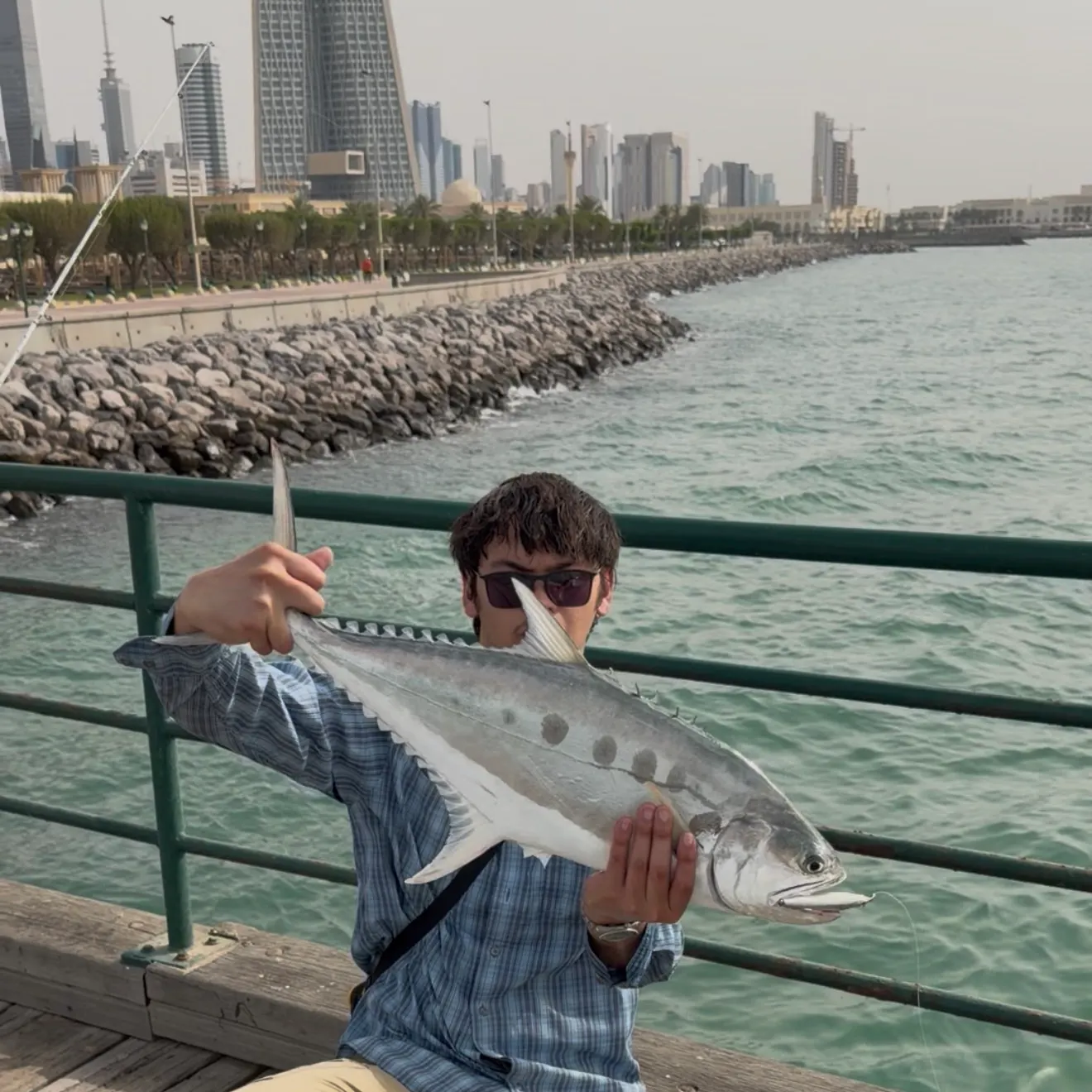 The most recent Talang queenfish catches on Fishbrain