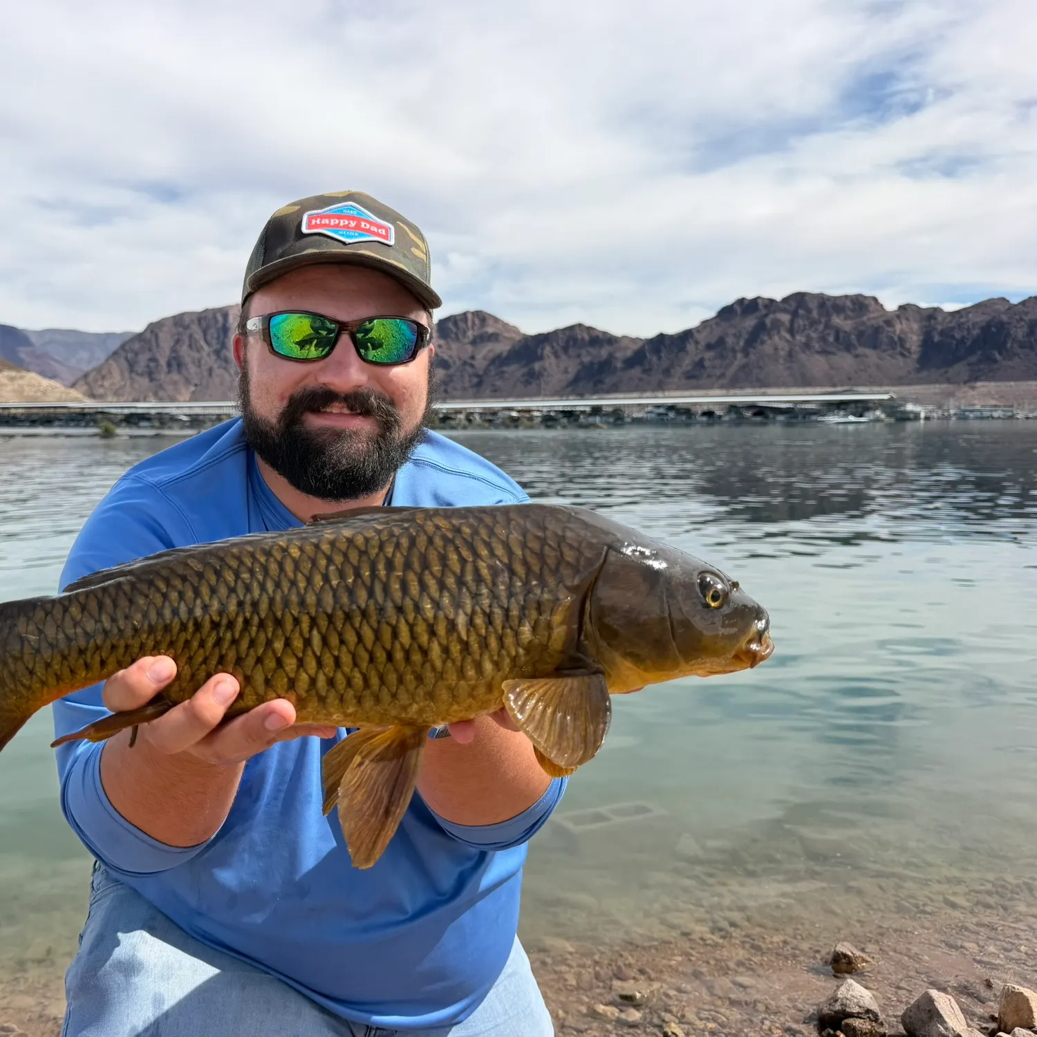 Common carp caught on Fishbrain