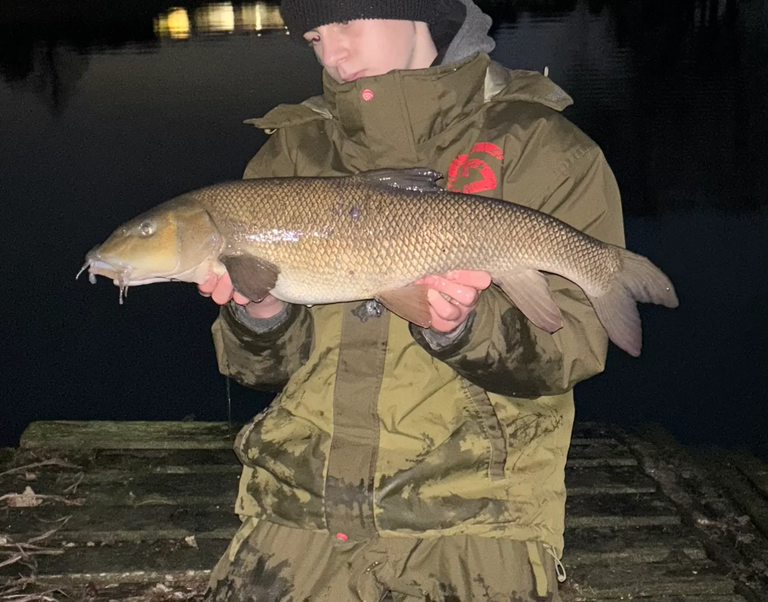 Common barbel