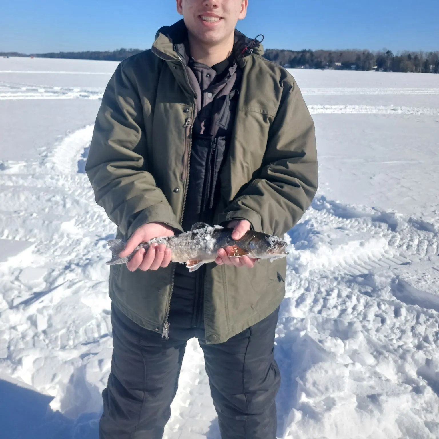 The most recent Splake catches on Fishbrain