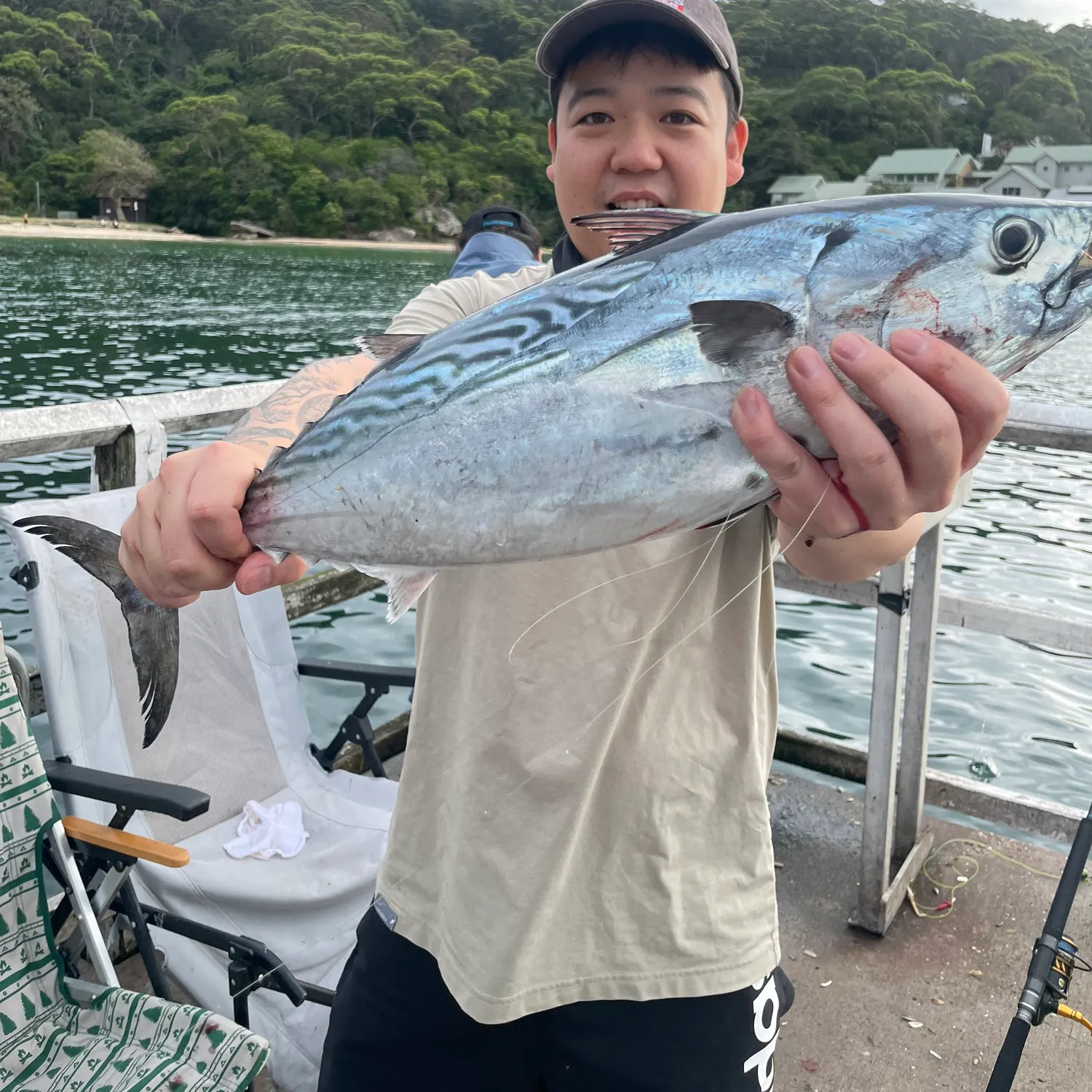 The most recent Kawakawa catches on Fishbrain