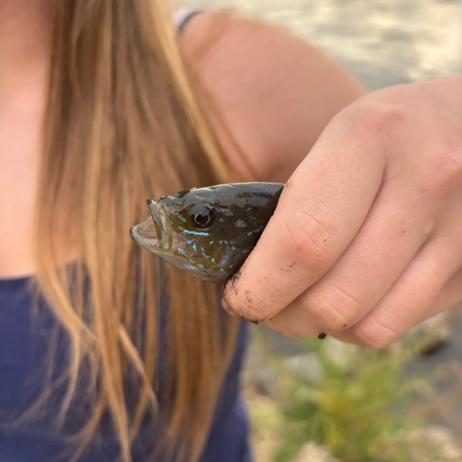 Fish caught on Fishbrain