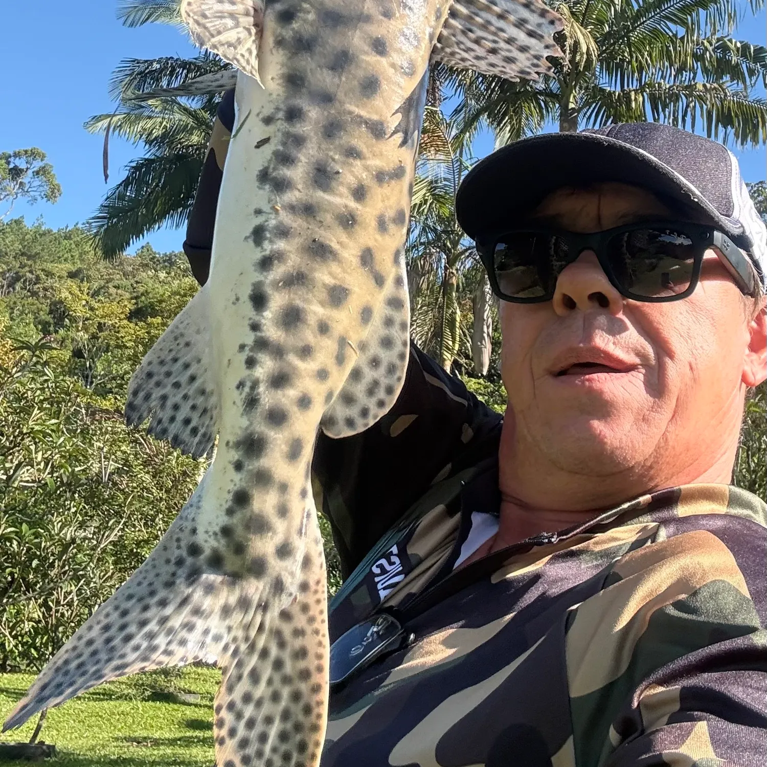 The most recent Spotted sorubim catches on Fishbrain