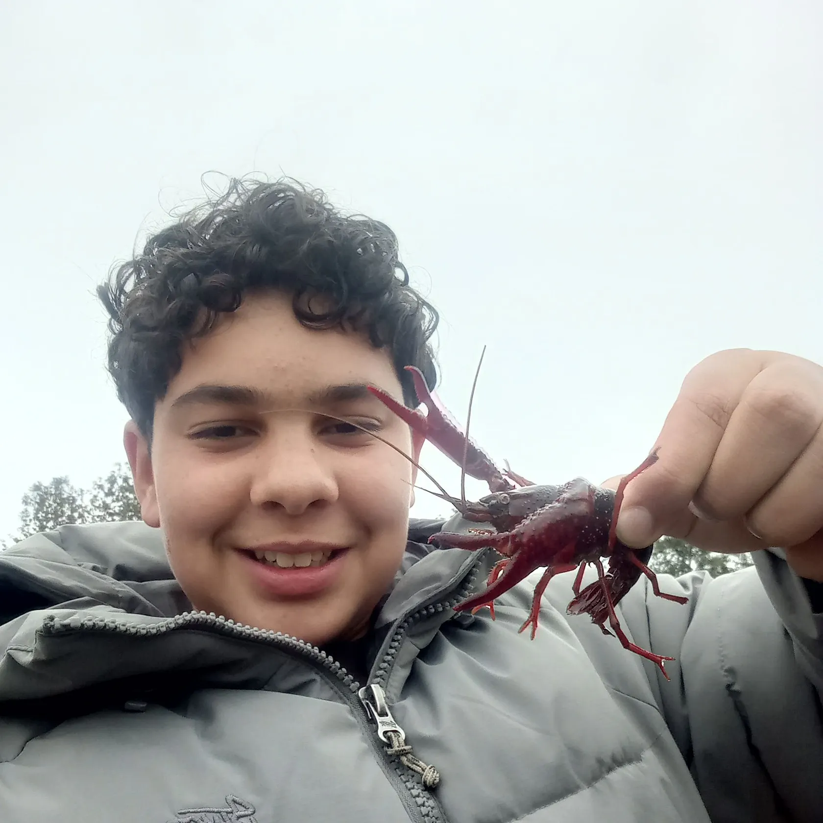 The most recent American lobster catches on Fishbrain