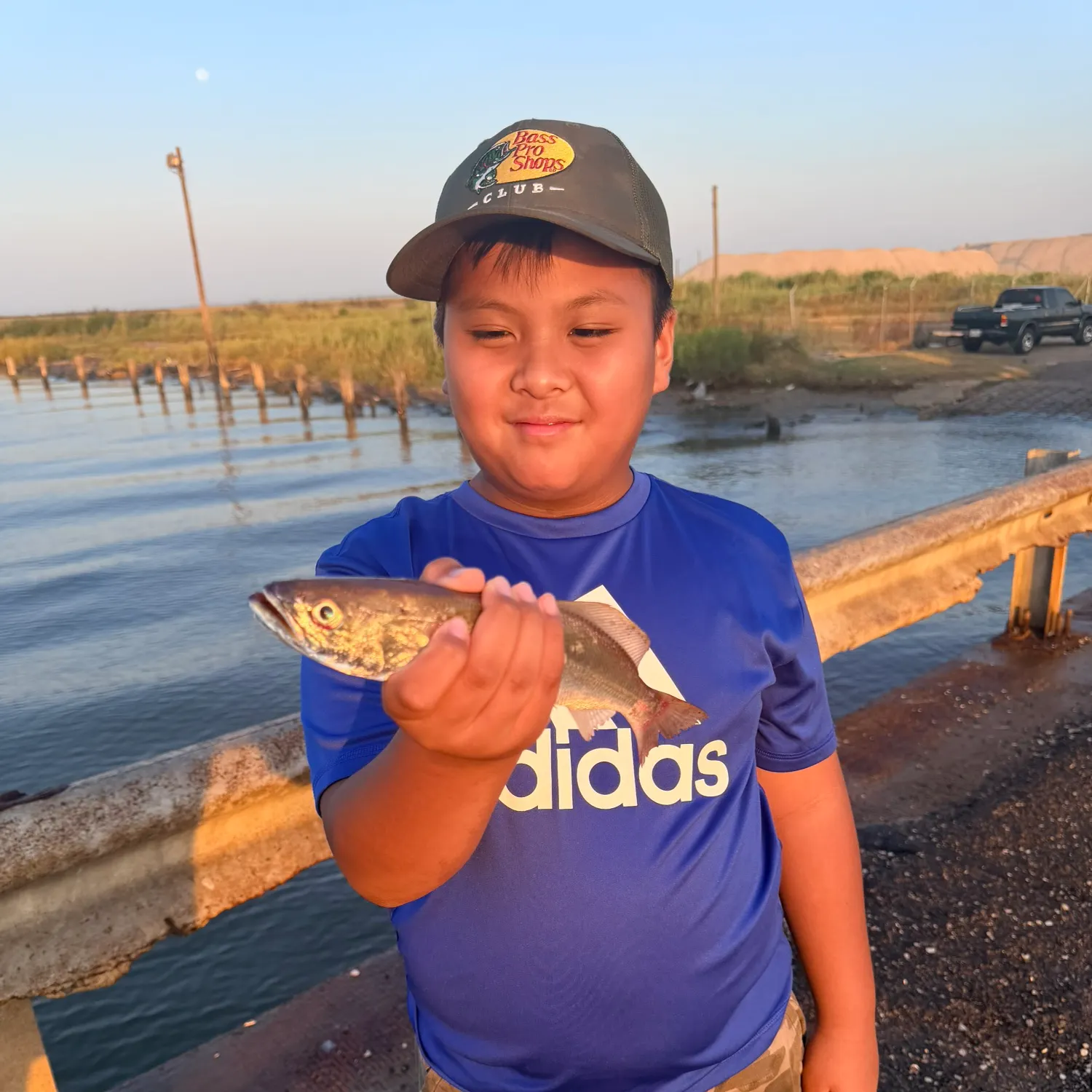 Sand seatrout caught on Fishbrain