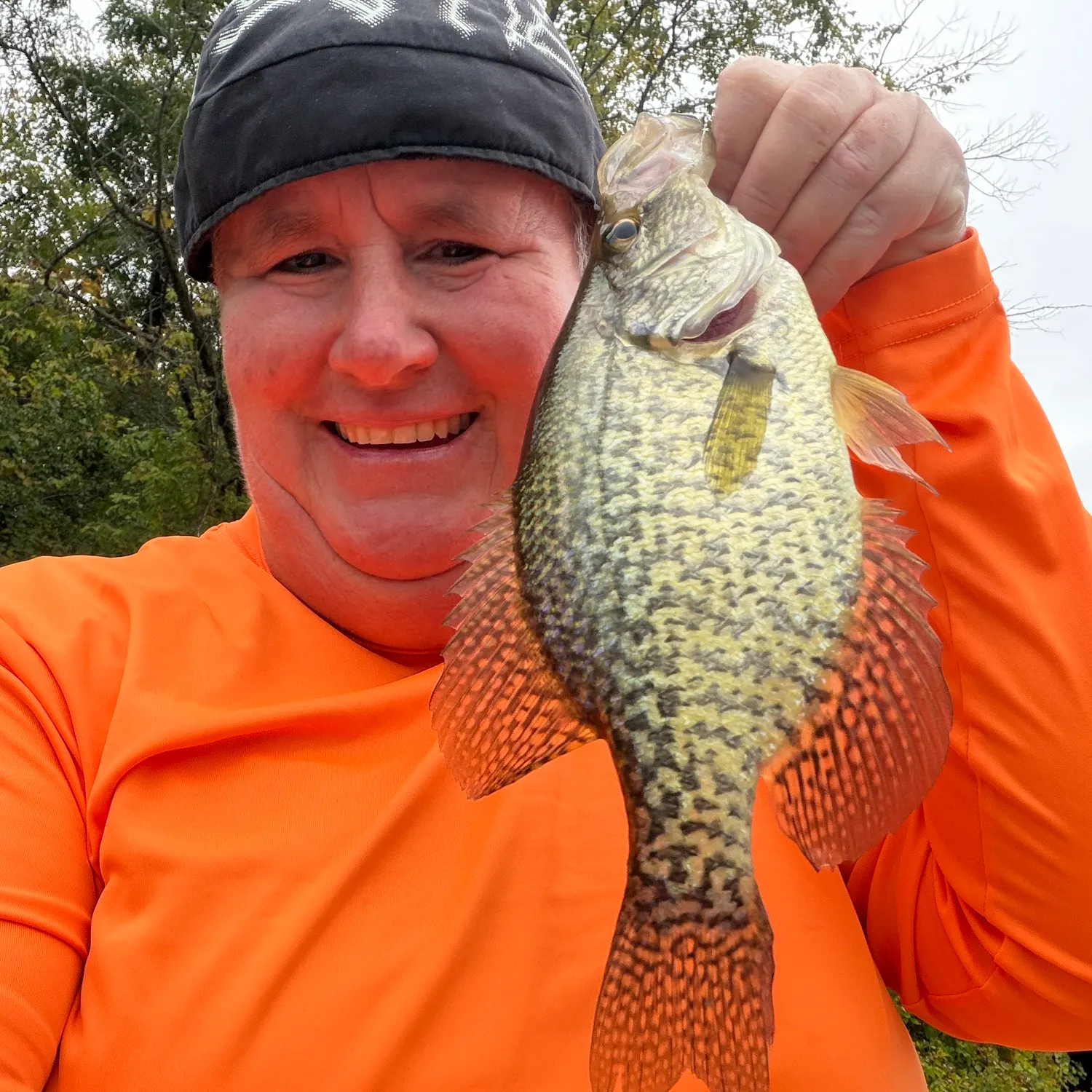 Black crappie caught on Fishbrain