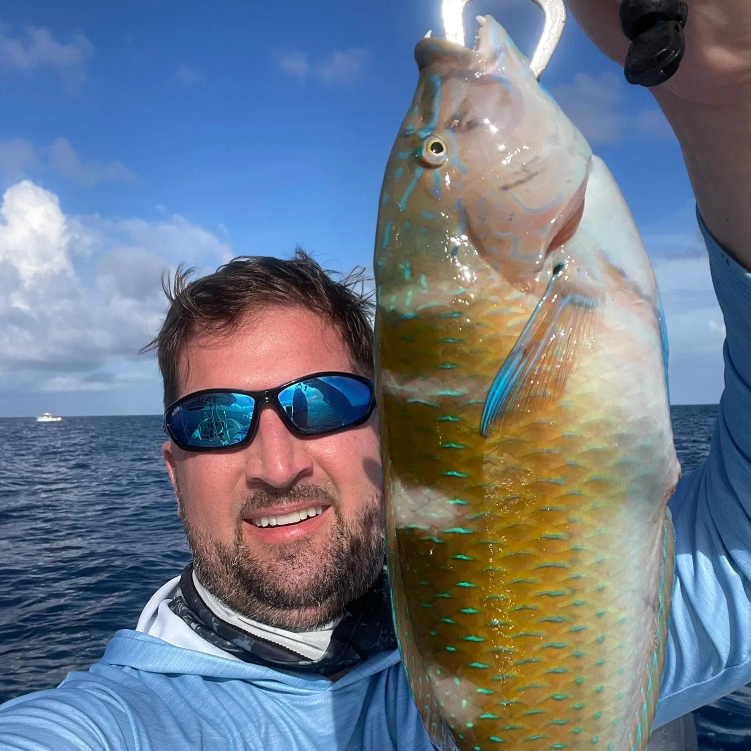 The most recent Puddingwife wrasse catches on Fishbrain