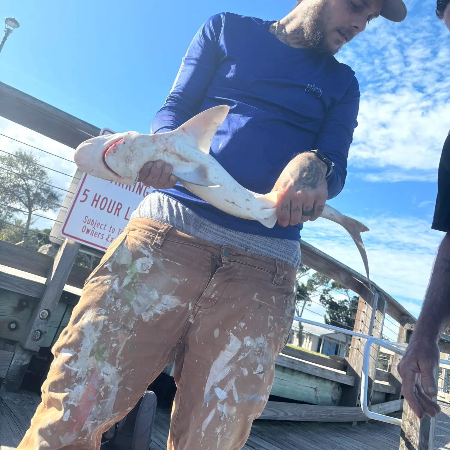 The most recent Spinner shark catches on Fishbrain