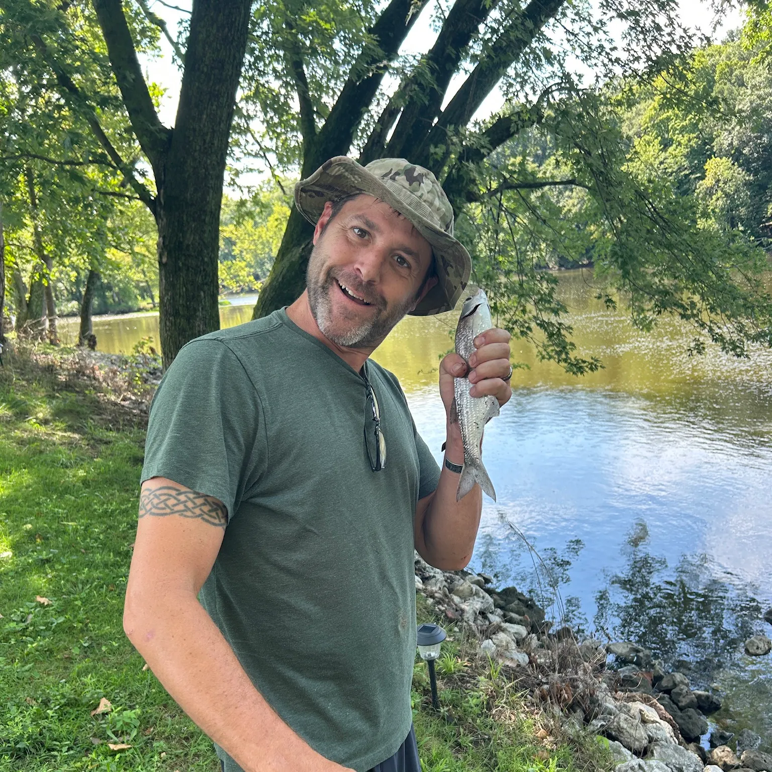 The most recent American gizzard shad catches on Fishbrain