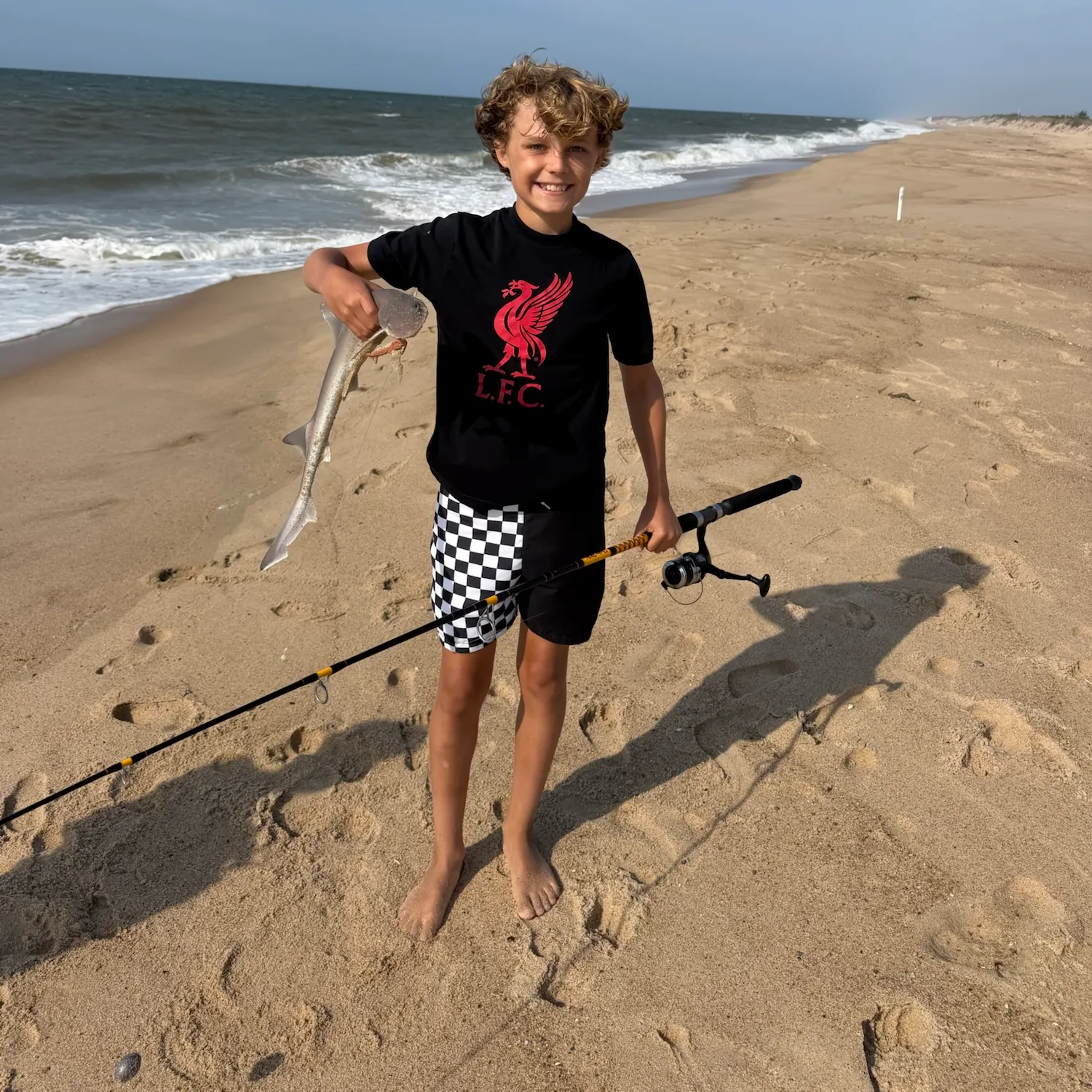 Piked dogfish caught on Fishbrain