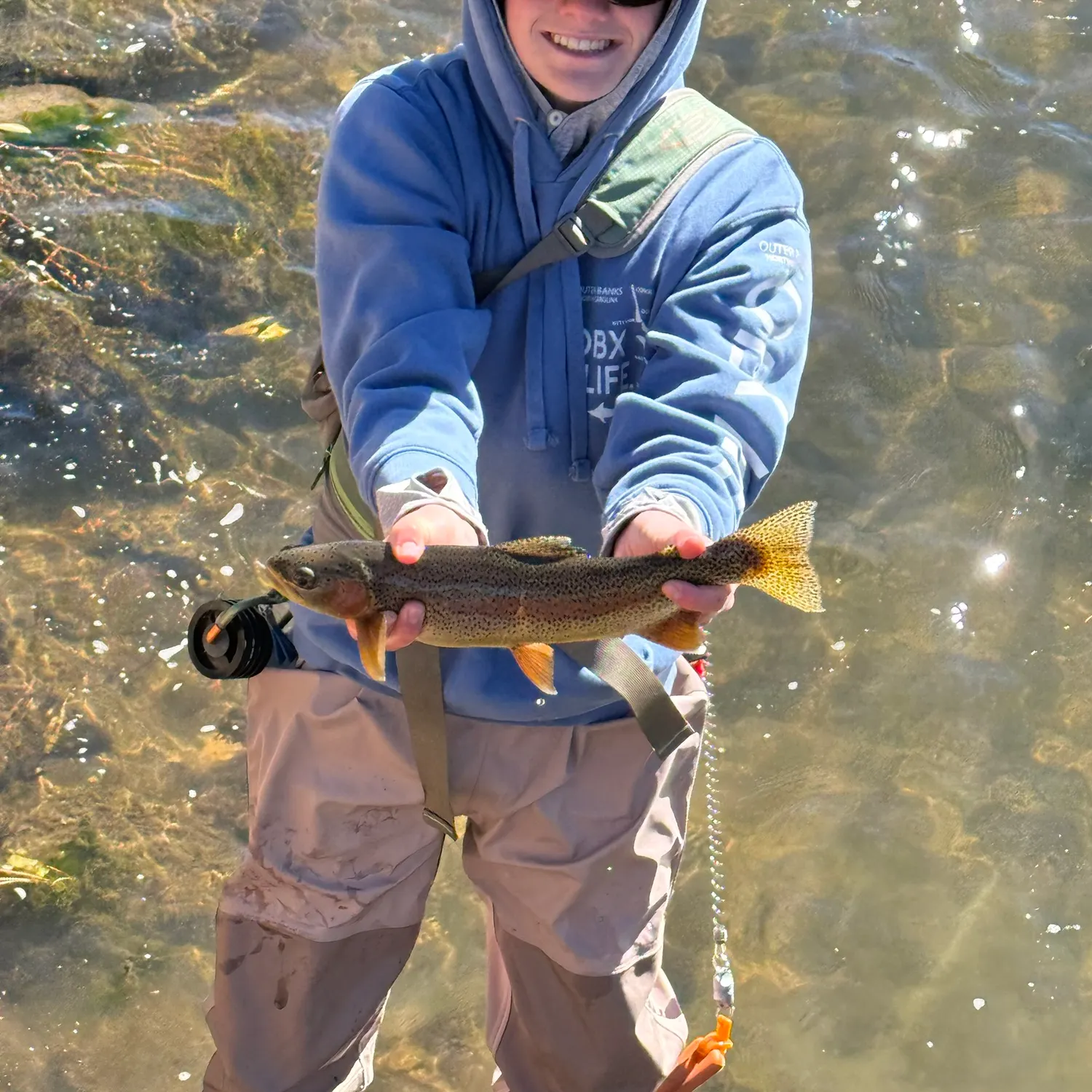 Rainbow trout caught on Fishbrain