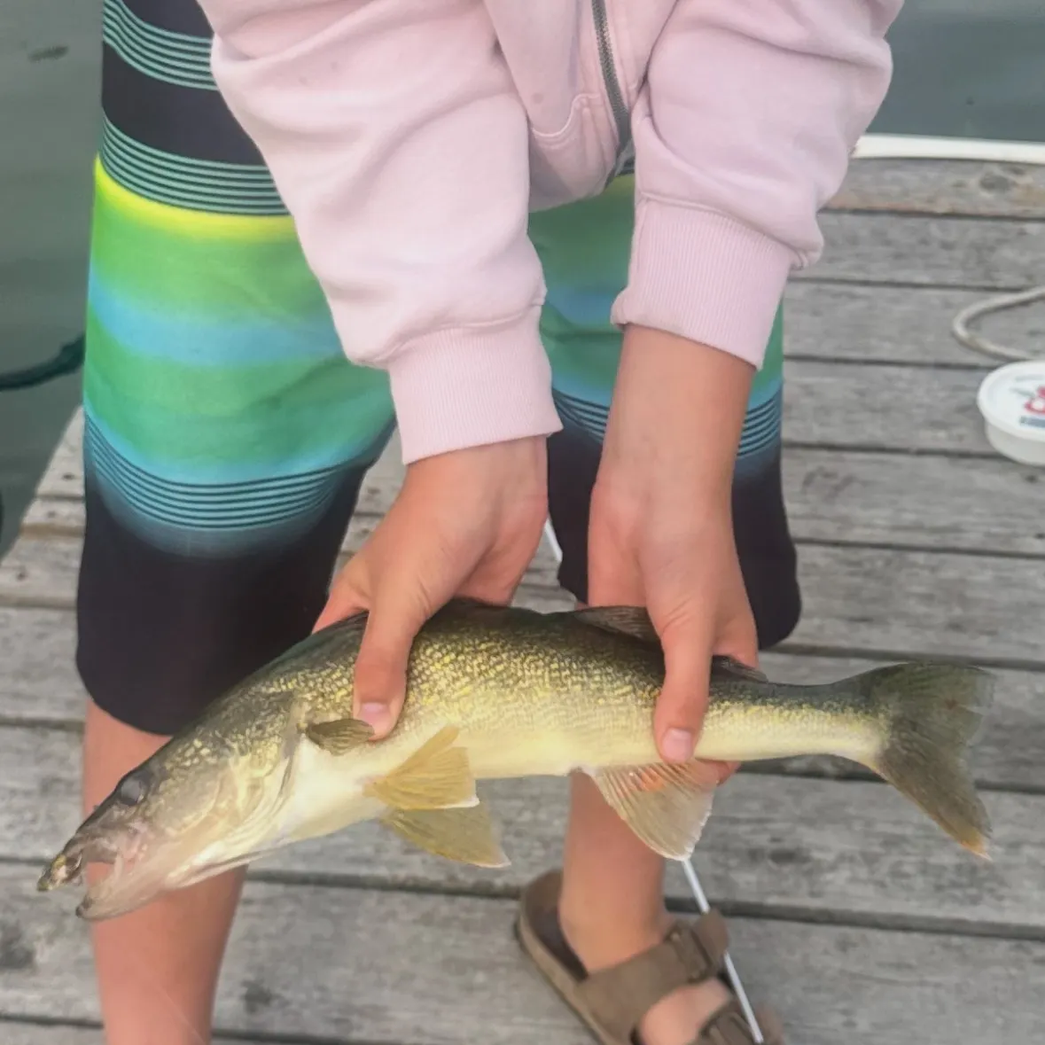 Walleye caught on Fishbrain