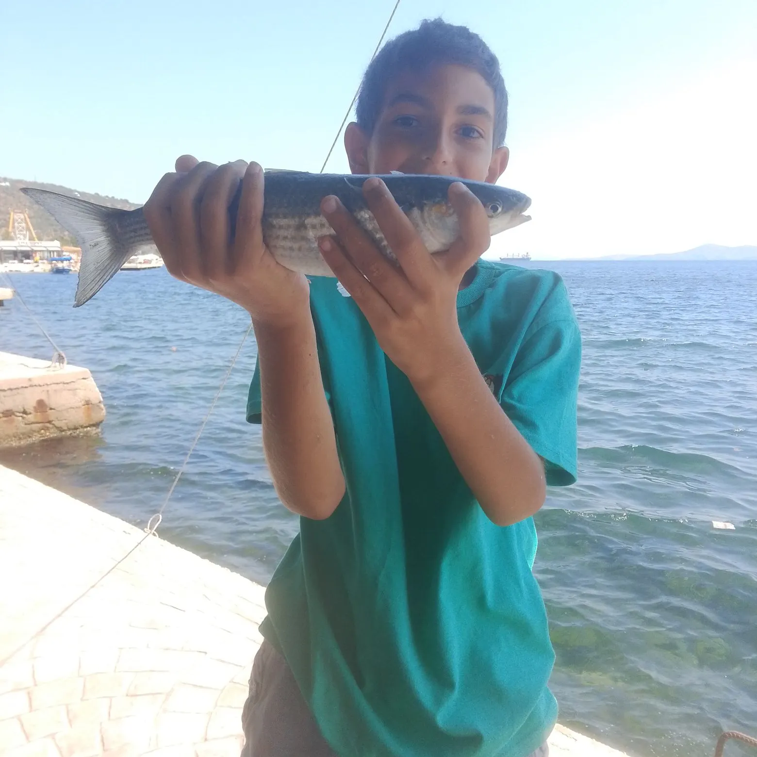 Striped mullet caught on Fishbrain
