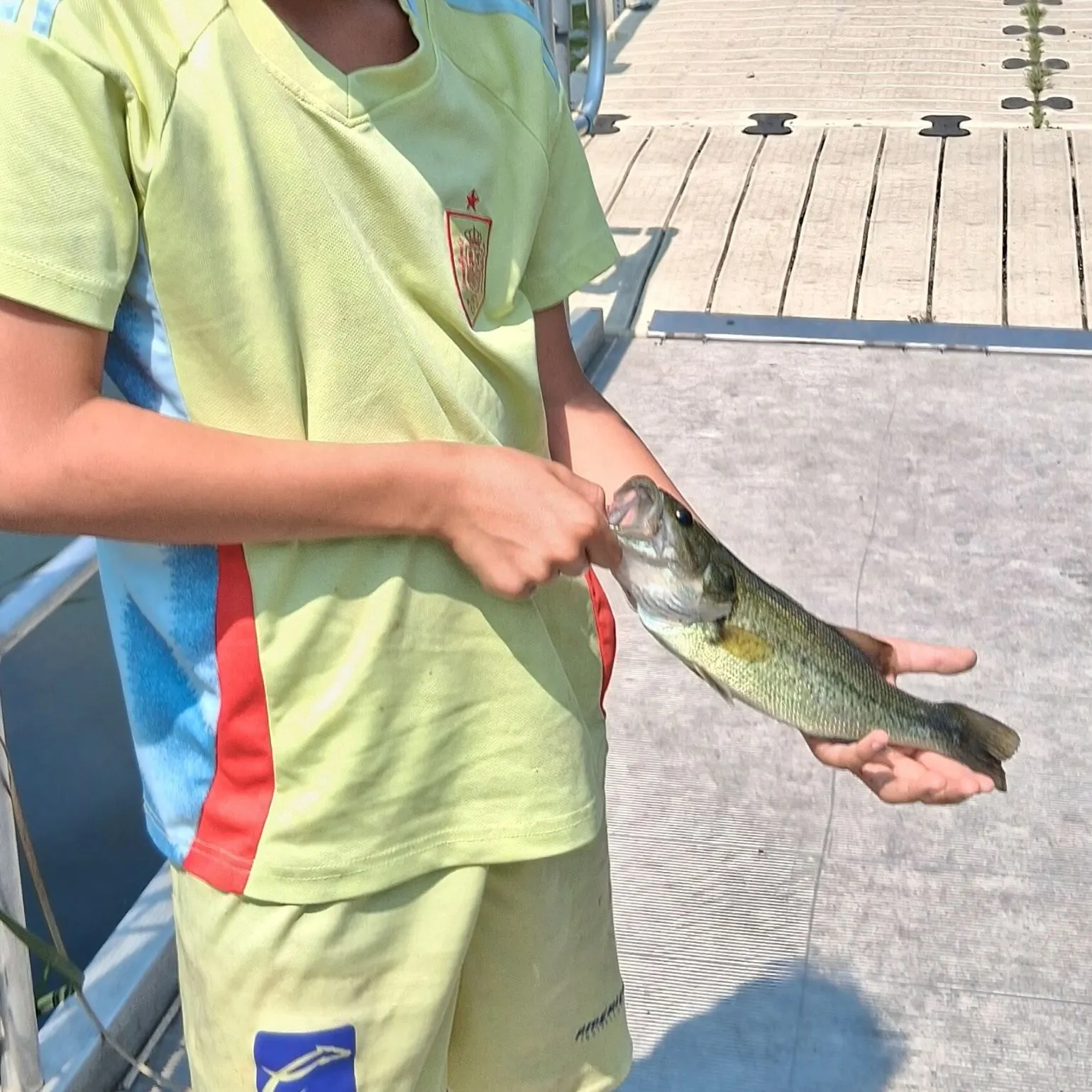 Spotted bass caught on Fishbrain