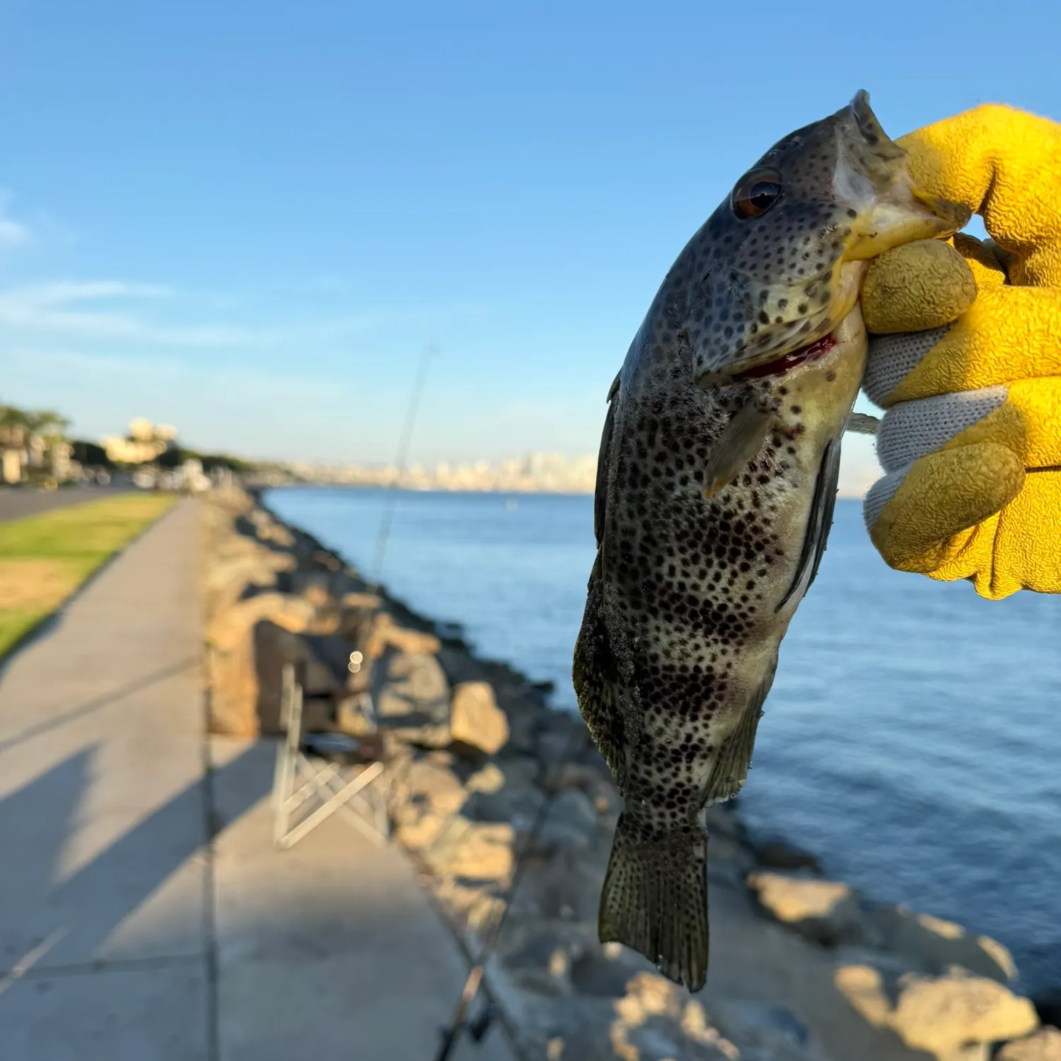 catch