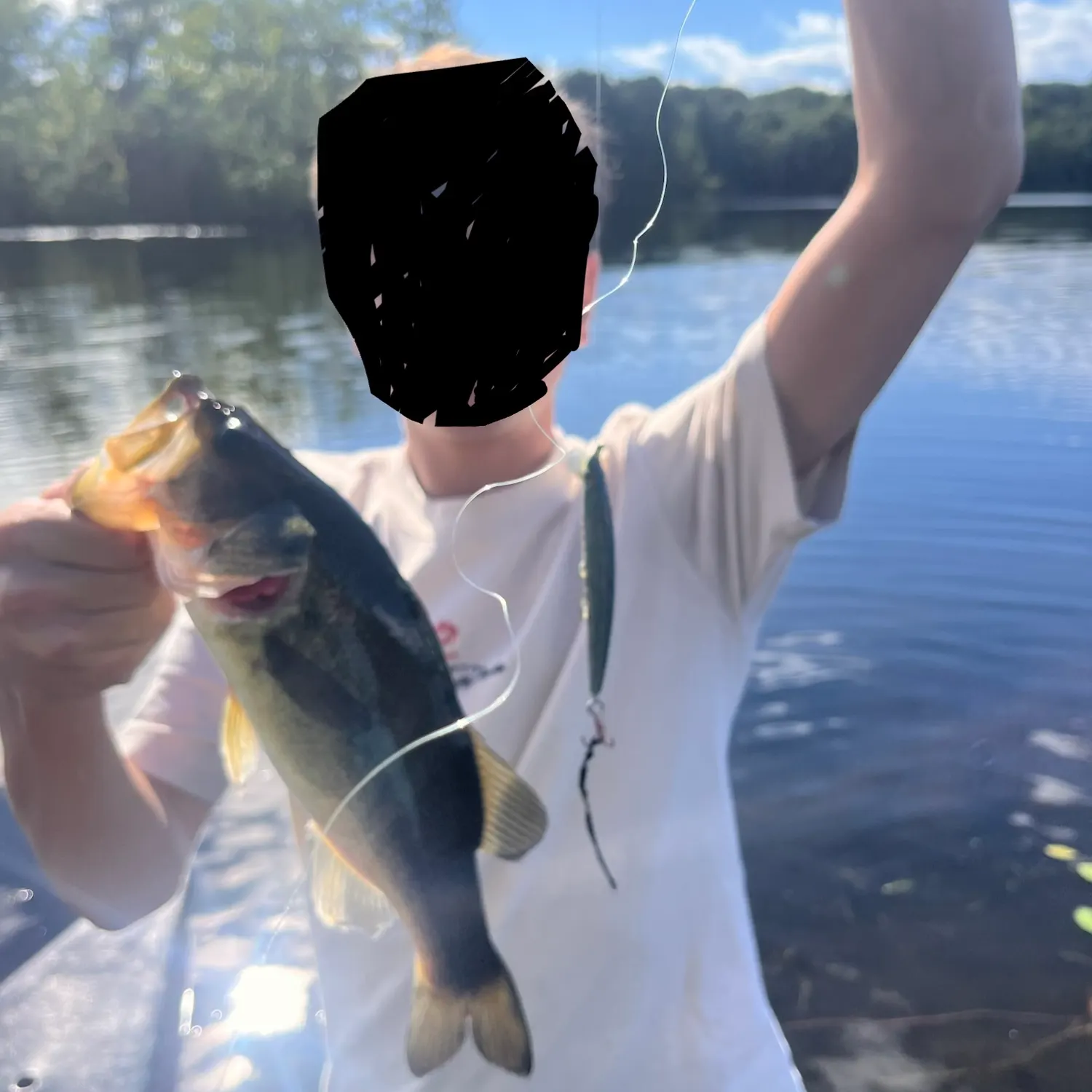 Largemouth bass caught on Fishbrain