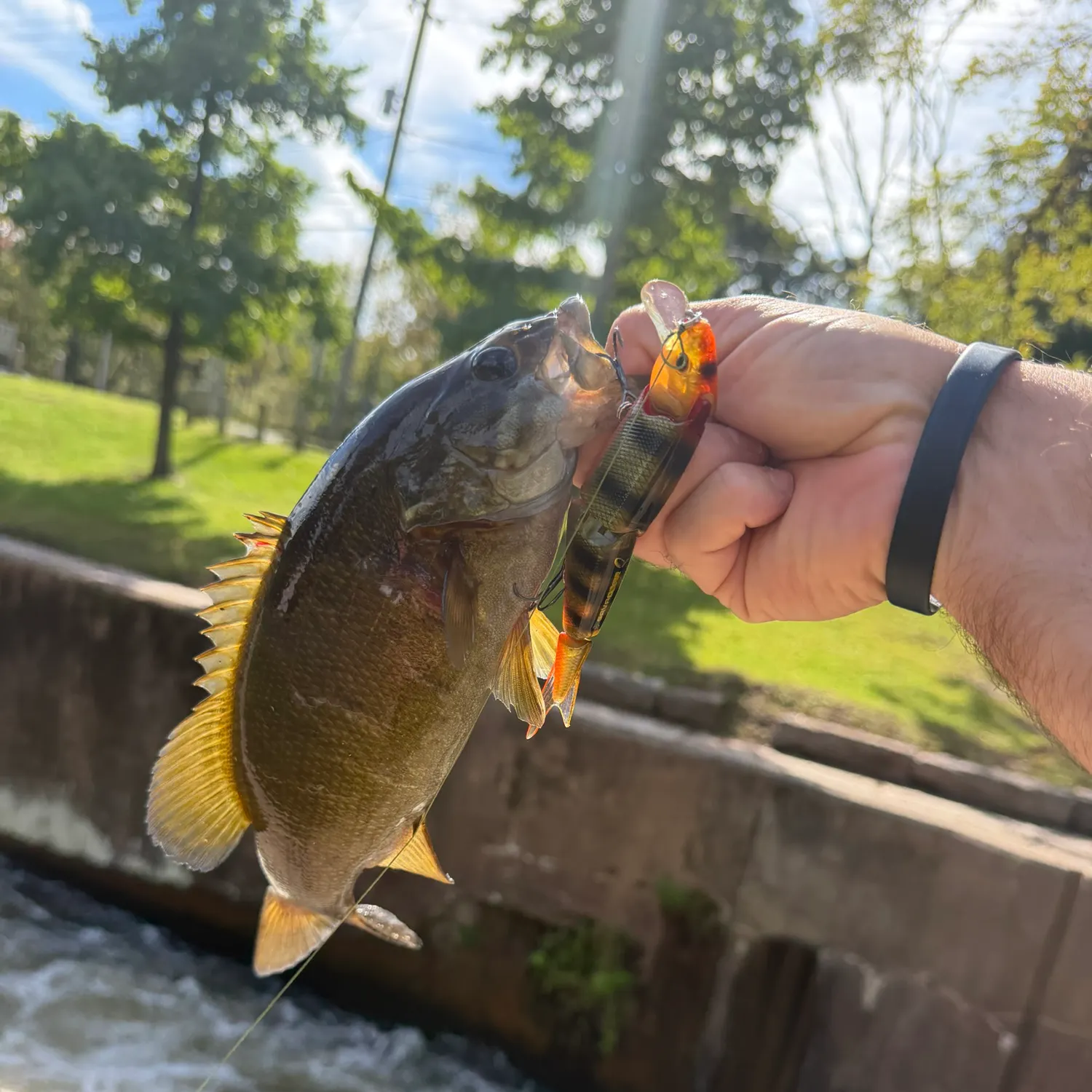 catch