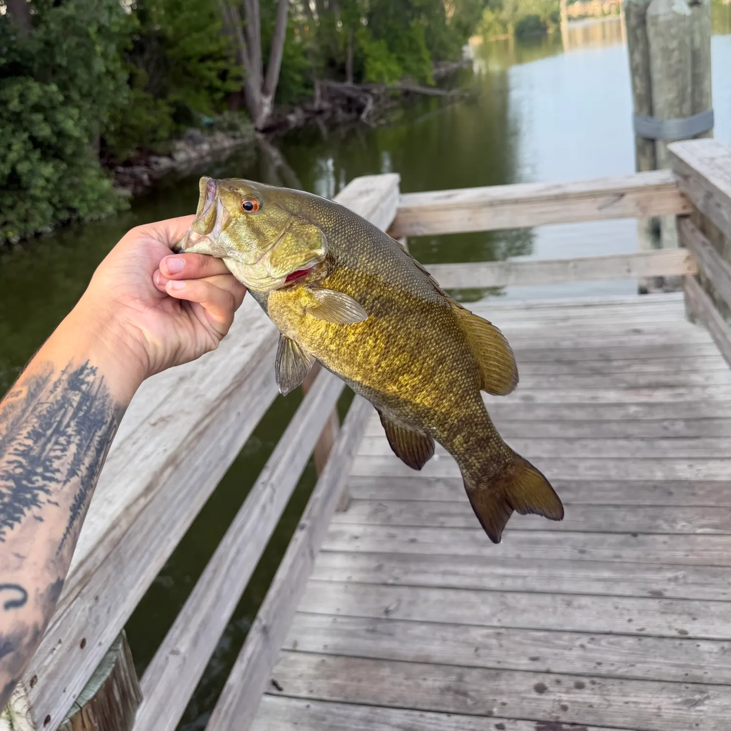 catch