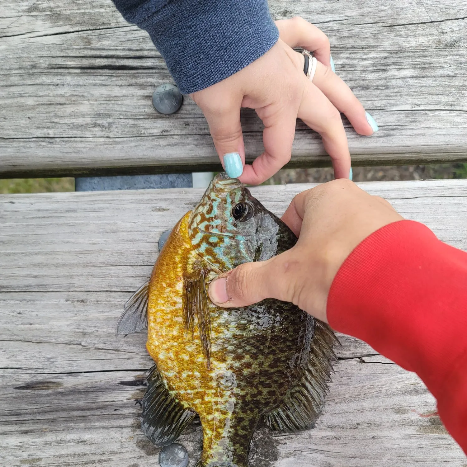 catch