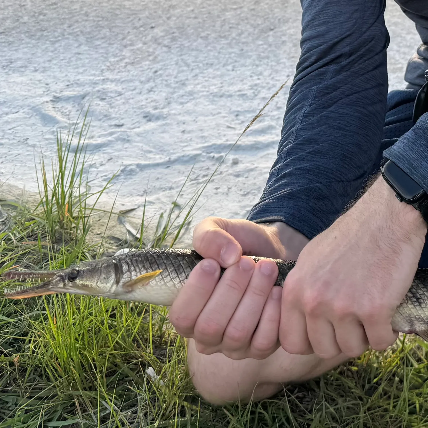catch