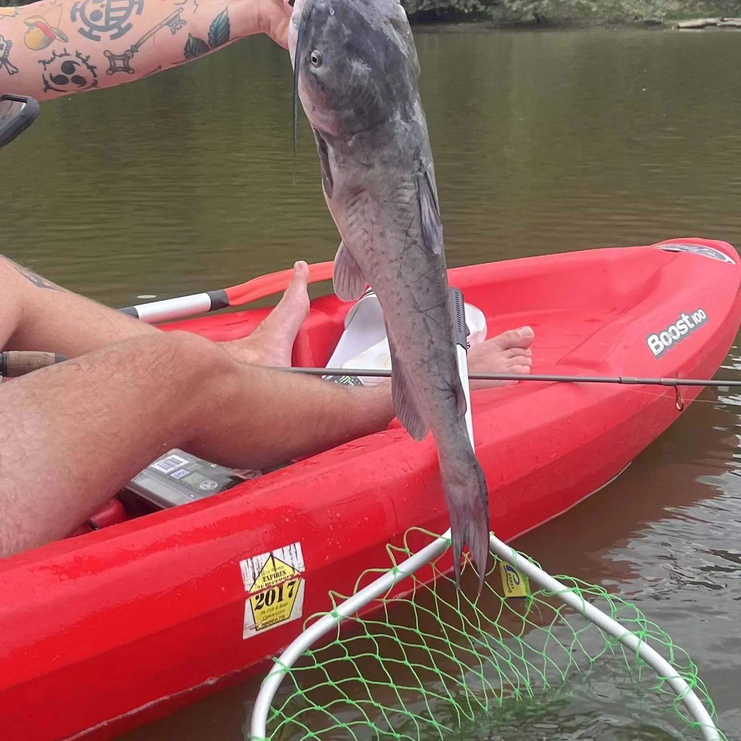 recently logged catches