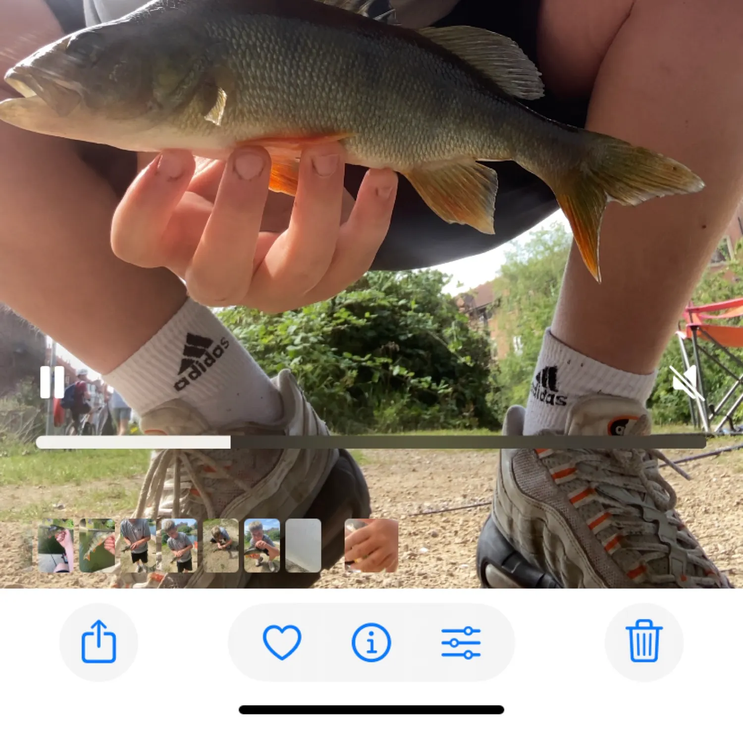 recently logged catches