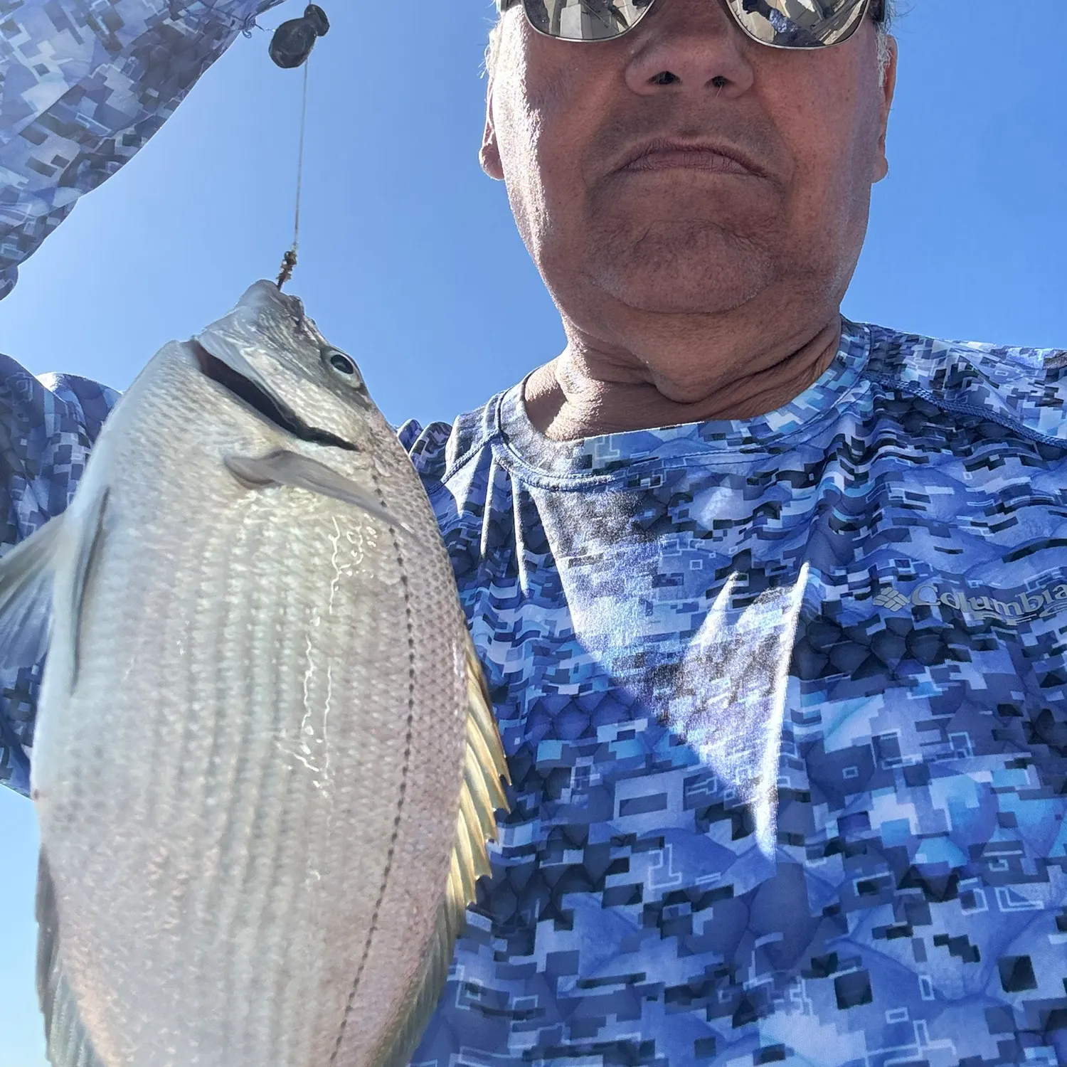 The most recent White seabream catches on Fishbrain