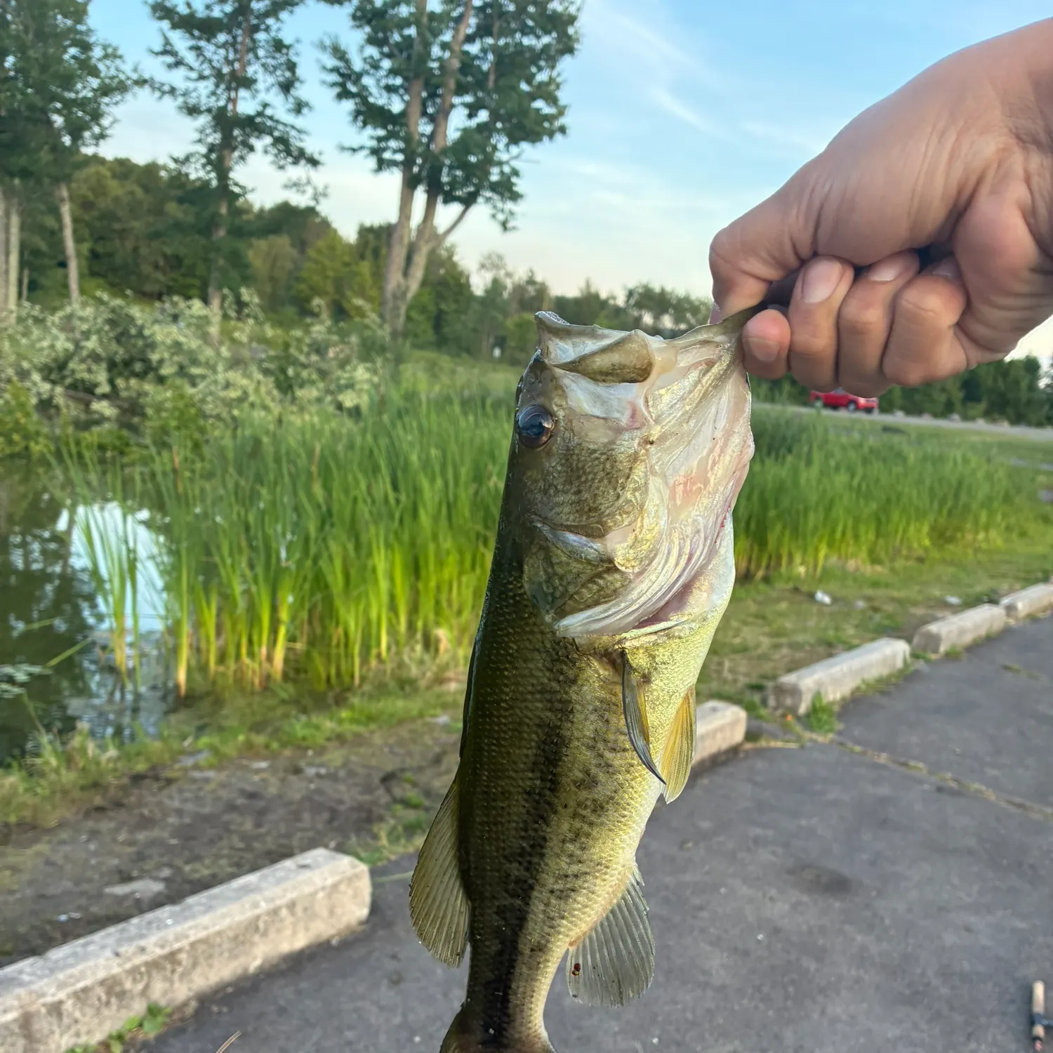catch