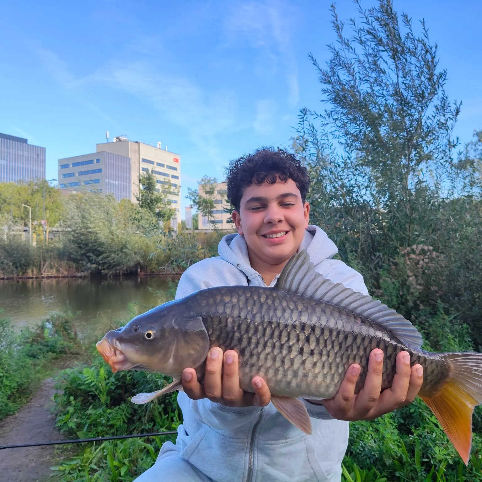 Common carp caught on Fishbrain