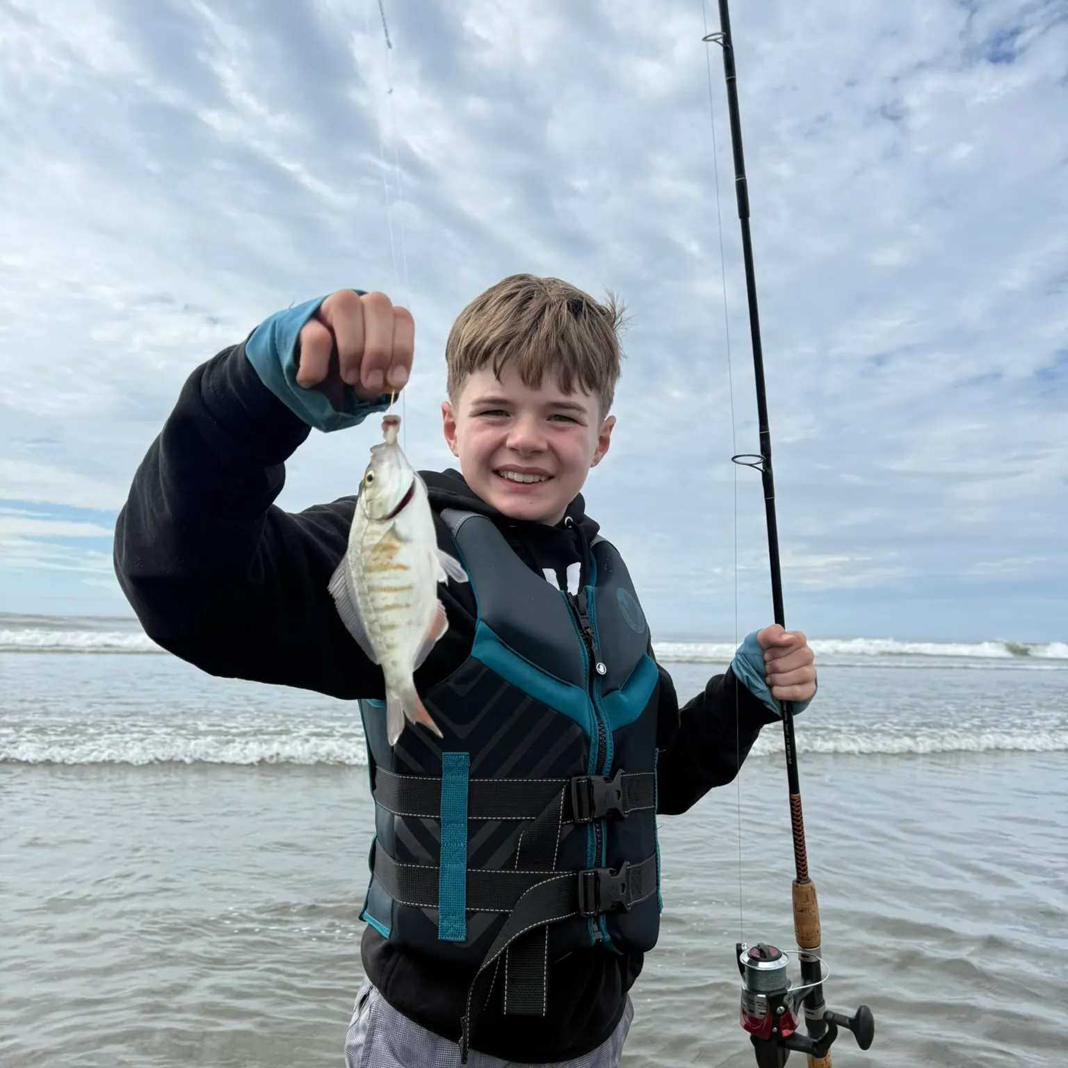 The most recent Redtail surfperch catches on Fishbrain