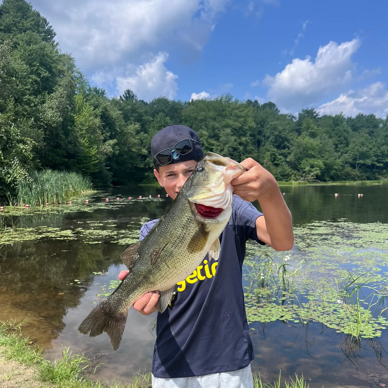 Largemouth bass caught on Fishbrain