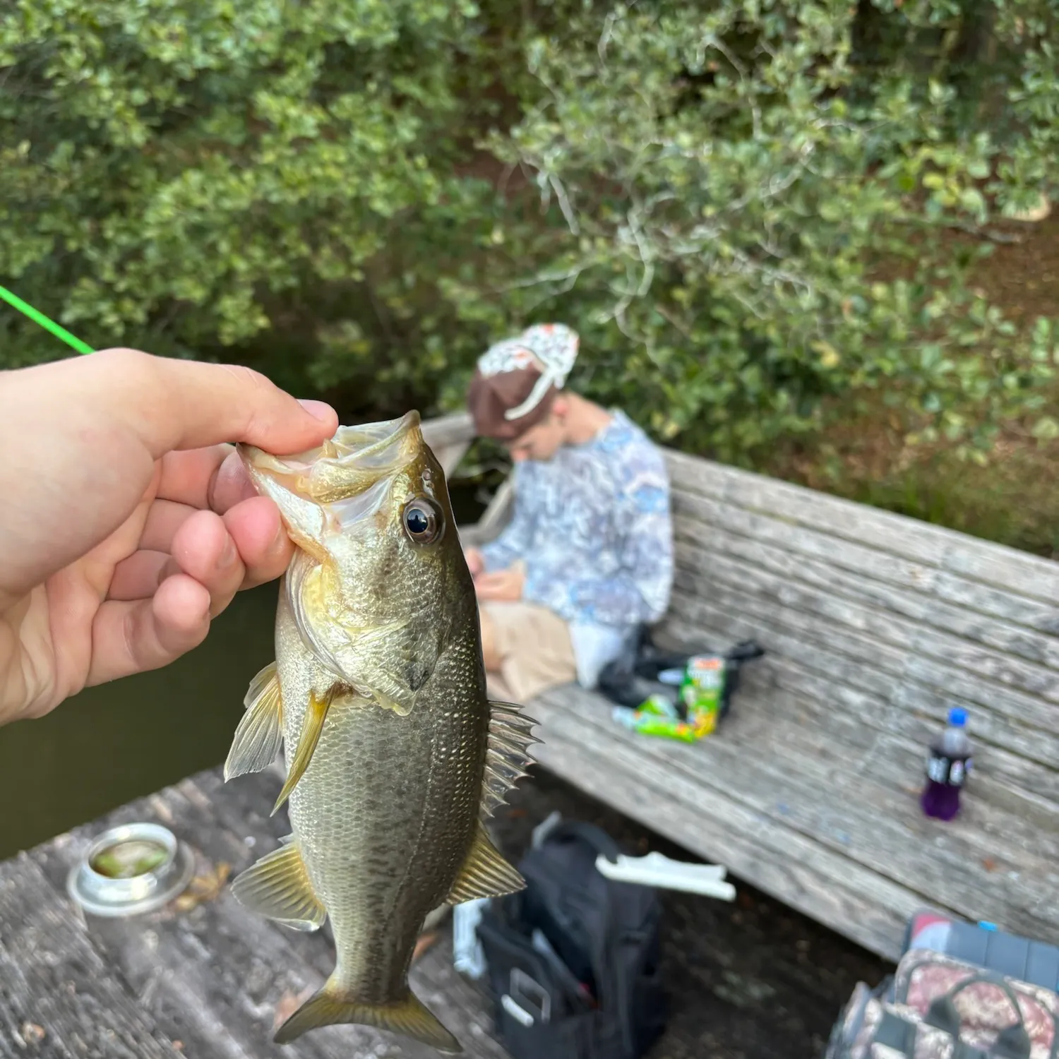 catch