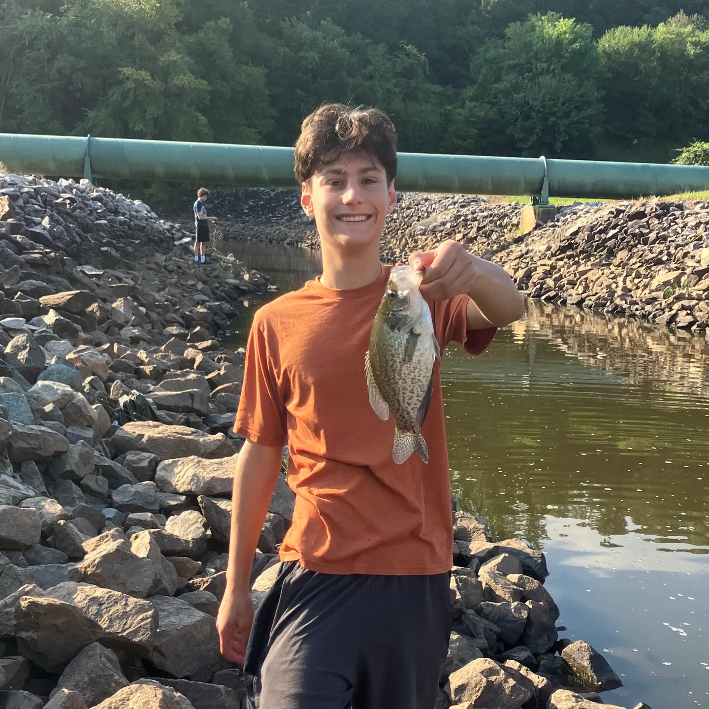 Black crappie caught on Fishbrain
