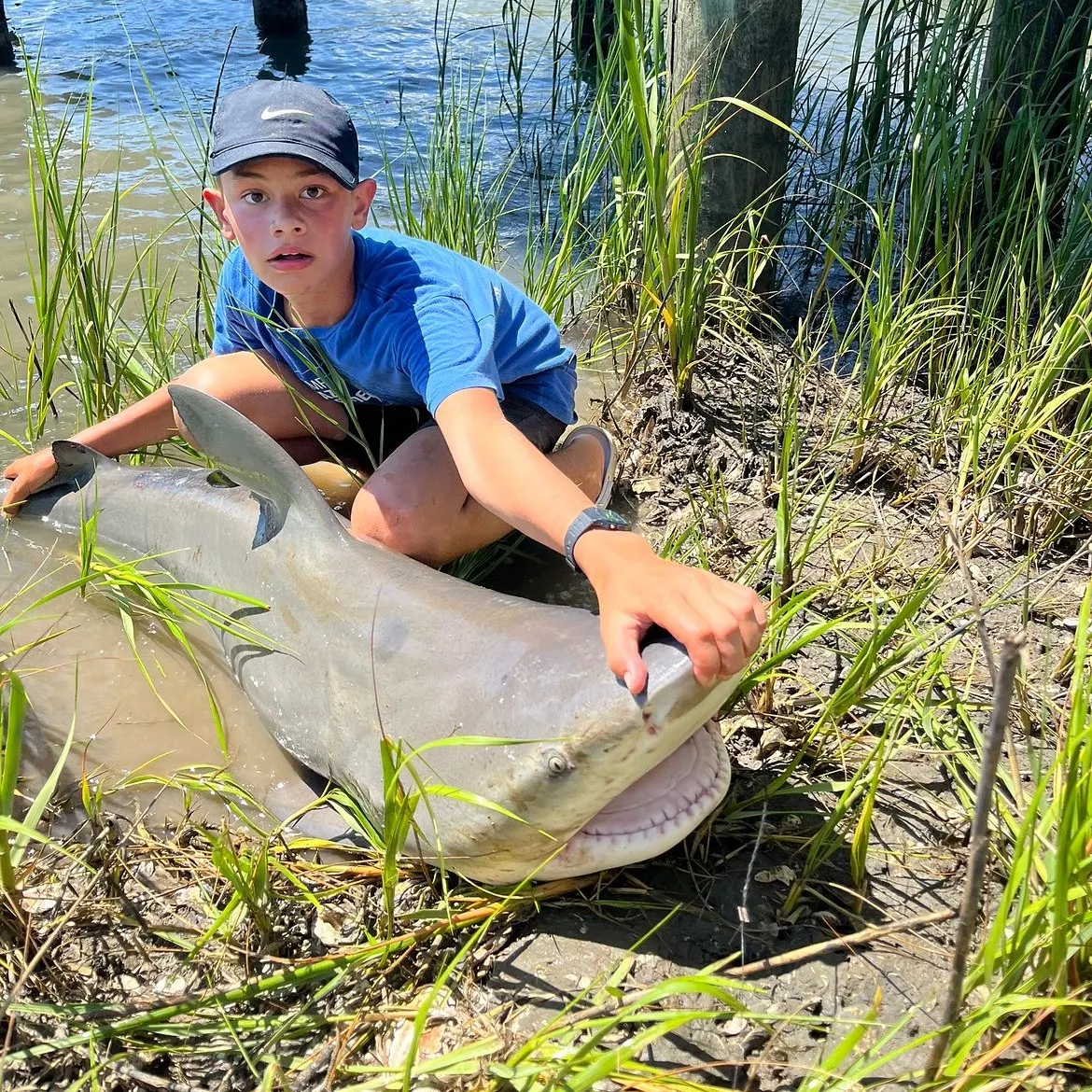 The most recent Bull shark catches on Fishbrain