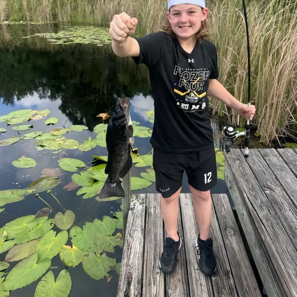 The most recent Channel catfish catches on Fishbrain