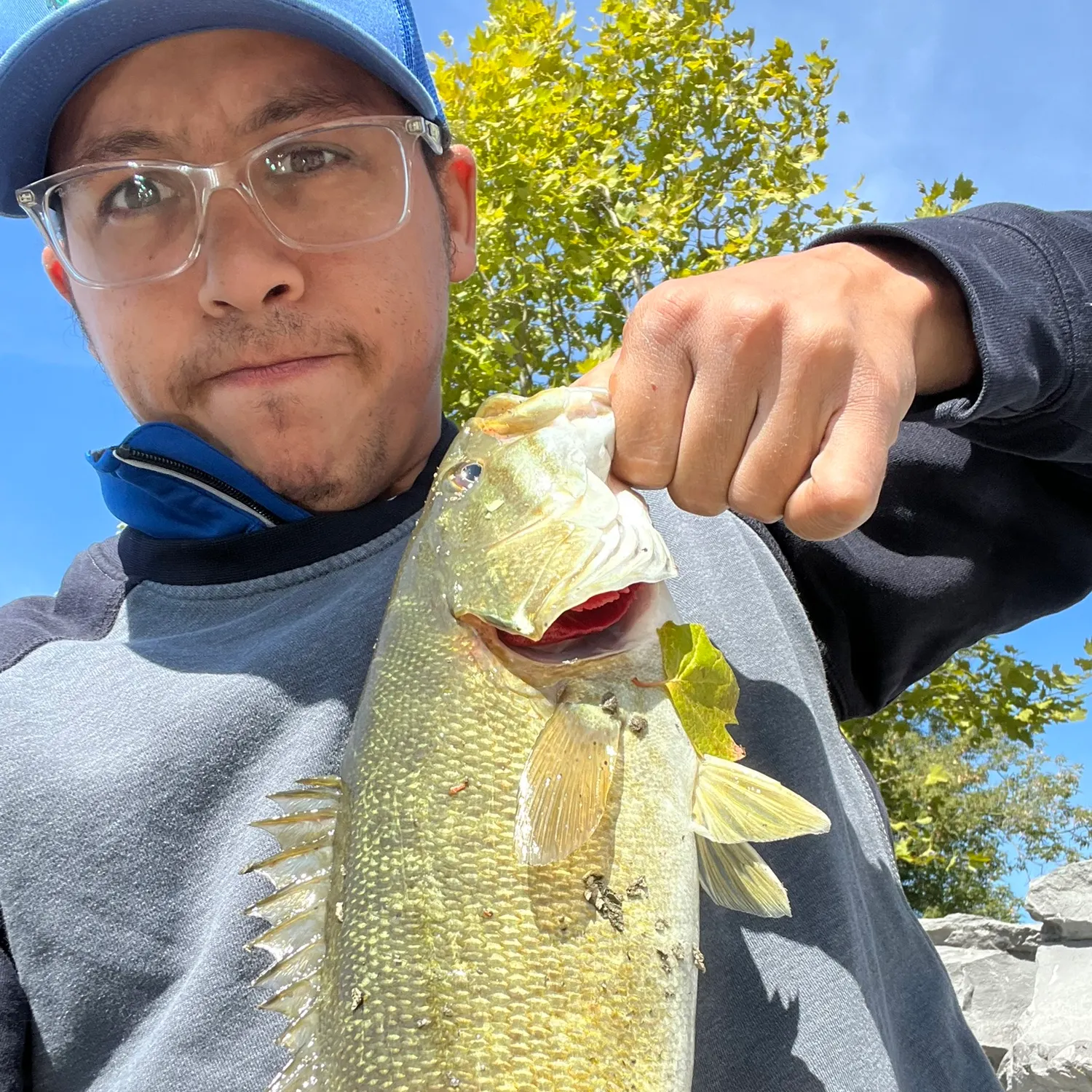 Smallmouth bass caught on Fishbrain