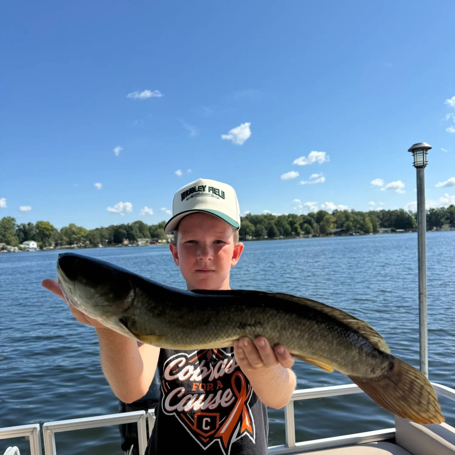 Eyetail bowfin caught on Fishbrain