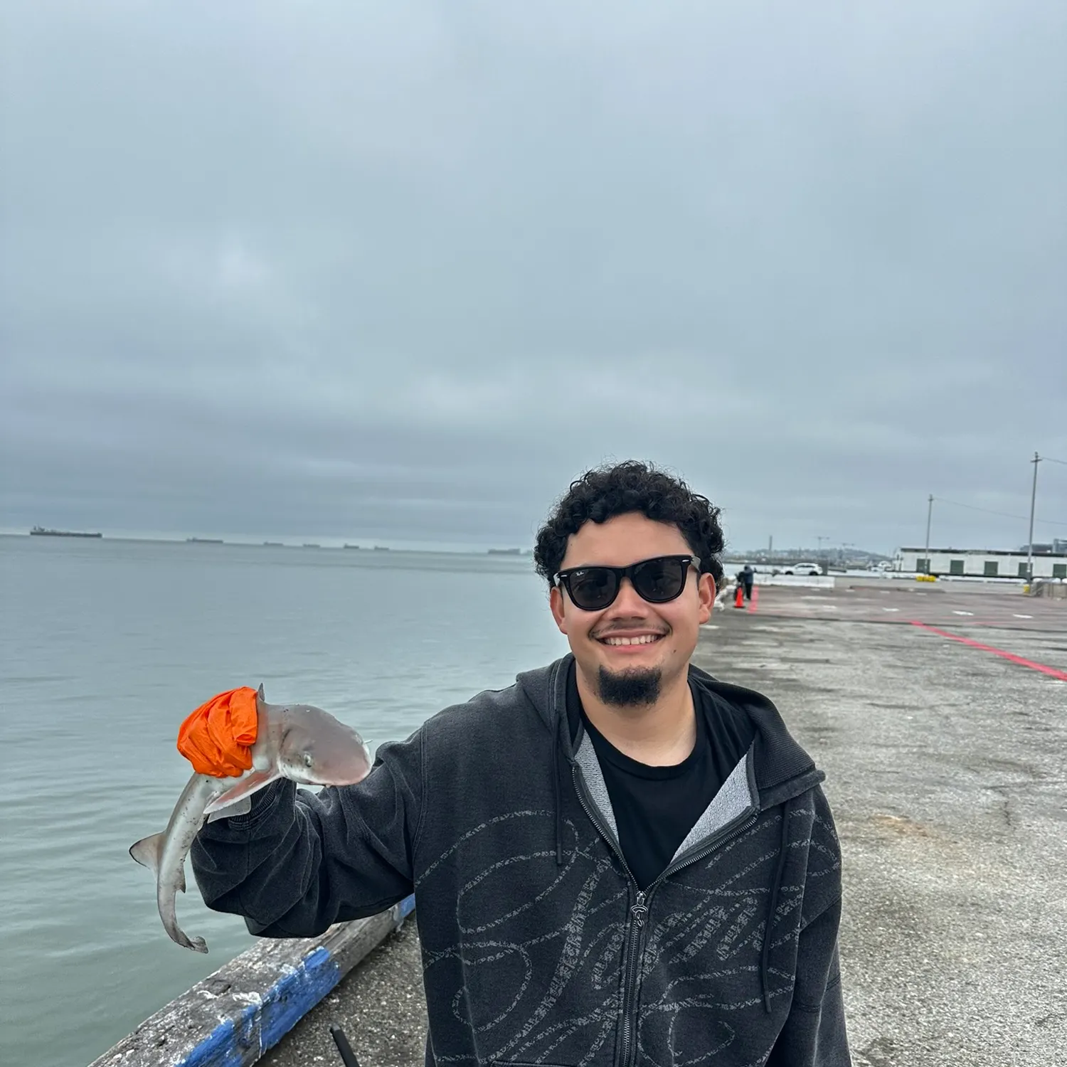 The most recent Grey smooth-hound catches on Fishbrain