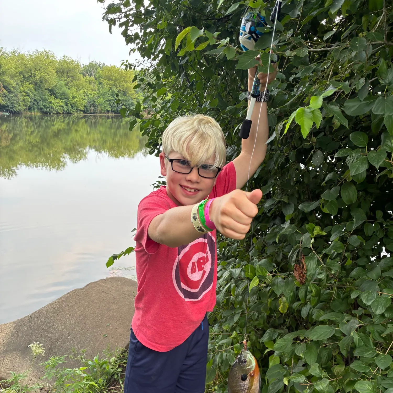 Bluegill caught on Fishbrain